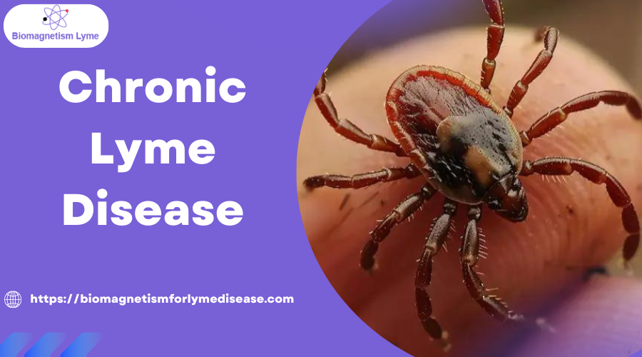 Misdiagnosing chronic Lyme disease is common due to its complicated nature and symptom
